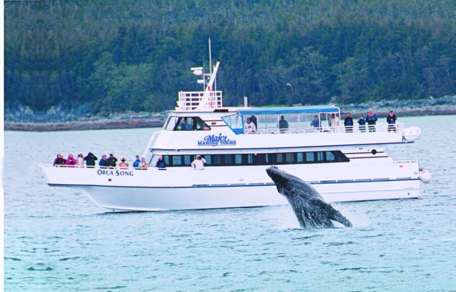 From Seward: Half-Day Resurrection Bay Wildlife Cruise Tour - The Value Proposition