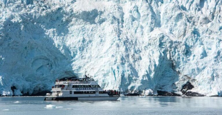 From Seward: Kenai Fjords National Park Cruise with Lunch - The Experience’s Value
