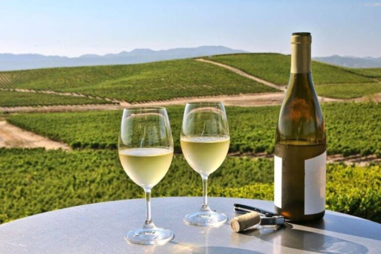 From SFO - Enchanted Napa & Sonoma Wine Tour in SUV - What Travelers Can Expect