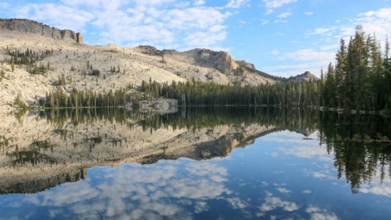 From SFO-Yosemite National Park-Enchanting Full Day Tour - The Value of the Tour