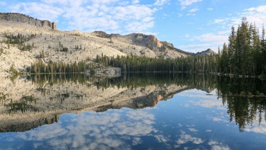 From SFO-Yosemite National Park-Enchanting Full Day Tour - The Value of the Tour