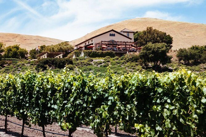From SF:Sonoma & Napa -8hr Private Wine Tour with Concierge.XLSUV - What the Tour Includes and Excludes