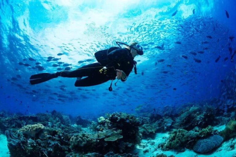 From Sharm: Luxury Diving cruise to Ras Mohammed with Lunch - What’s Included and What to Keep in Mind