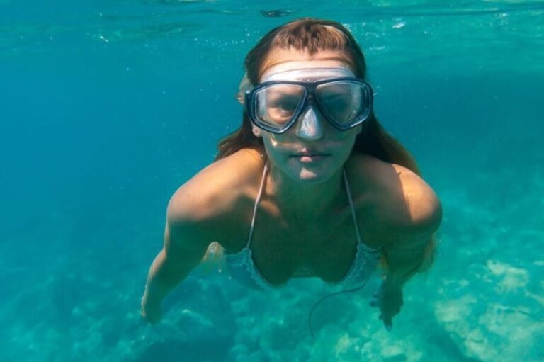 From Sharm: Ras Mohammed snorkeling cruise & optional diving - The Snorkeling Experience