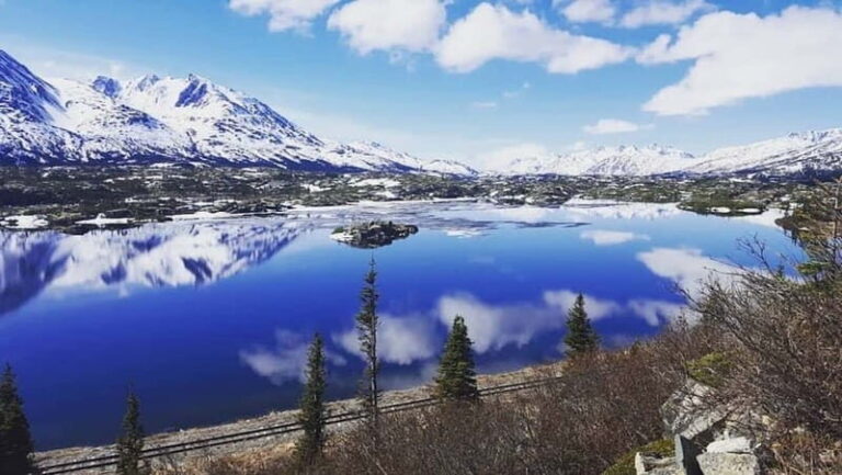 From Skagway: White Pass and Yukon Suspension Bridge Tour - Crossing the Border into Canada