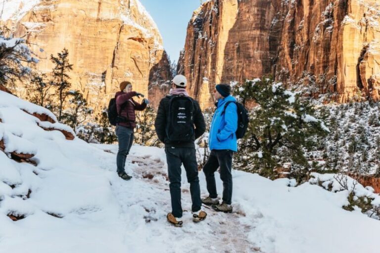From Springdale: 4-hour Zion Canyon Scenic Hiking Tour - What’s Included and What’s Not