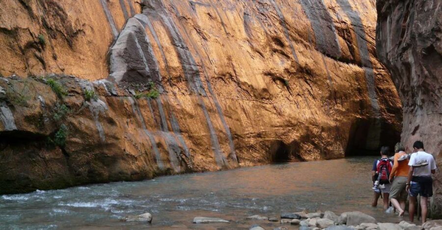 From Springdale: The Zion Narrows Hike with Lunch