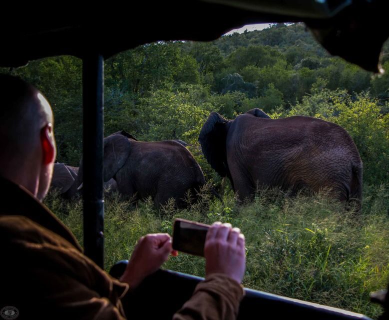 From St Lucia: iSimangaliso Wetland Park Night Drive Safari - Authentic Experiences from Fellow Travelers