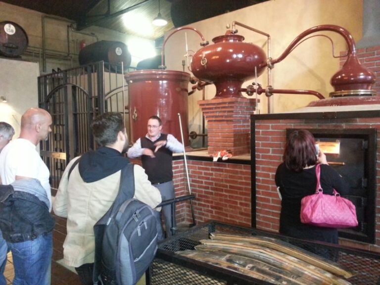 From Stellenbosch: Hop-On Hop-Off Wine Tour Southern Route - The Experience: What to Expect on the Southern Route Hop-On Hop-Off Wine Tour