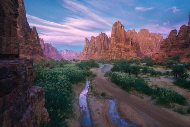 From Tabuk: Wadi Al Disah Private Tour - What’s Included and What’s Not