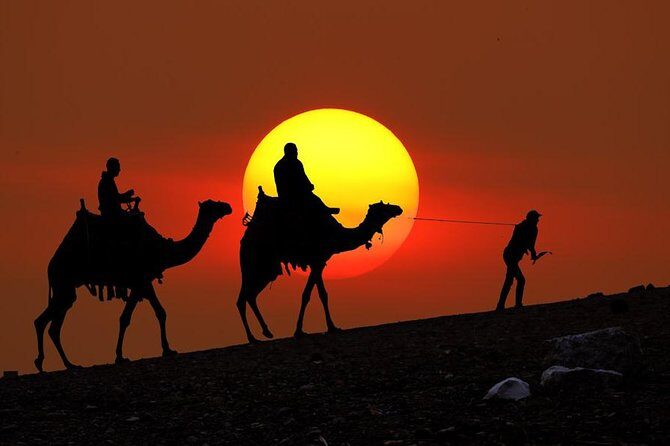 From Taghazoute : 2 Hours Agadir Camel Ride With Transfers and Tea Break - Authentic Moroccan Scenery and Cultural Insights