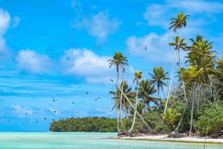 From Tahiti: Tetiaroa Island Tour by Sailing Catamaran - What the reviews tell us