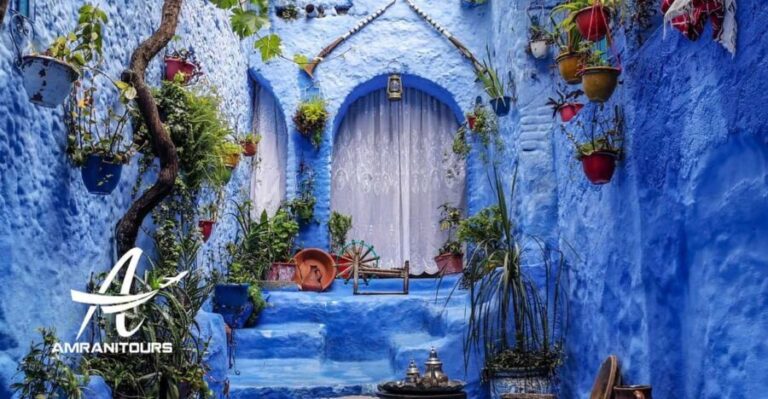 From Tarifa: 2-Day Private Trip to Tangier and Chefchaouen - Who Will Love This Tour?