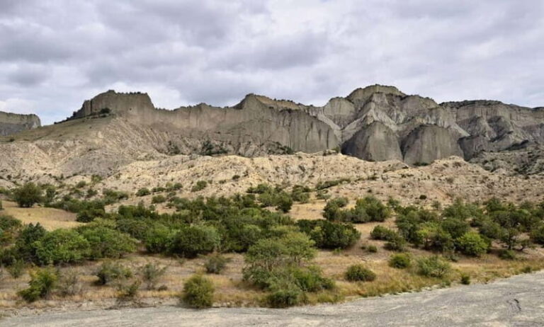 From Tbilisi: Vashlovani National Park Day Trip - Key Points
