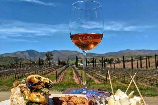 From the Border Valle de Guadalupe Private Wine Tour - Why We Think This Tour Offers Great Value