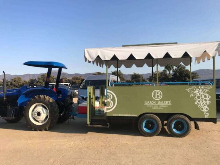 From Tijuana: Valle de Guadalupe Private Winery Tour - Practical Details and Considerations