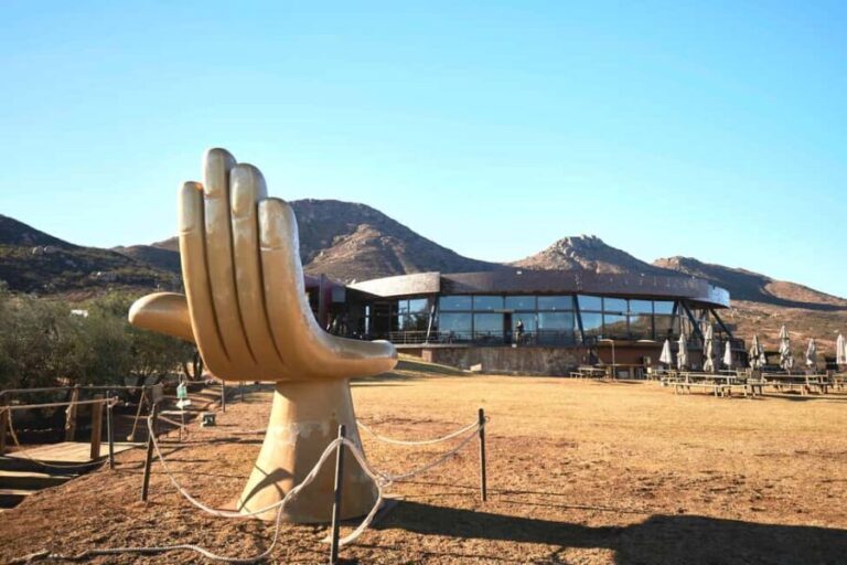 From Tijuana: Valle de Guadalupe Shared Winery Tour - Savoring Baja Med Cuisine and Local Flavors