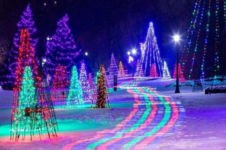 From Toronto: Winter Festival of Lights Niagara Falls Tour - Who Is This Tour Best For?