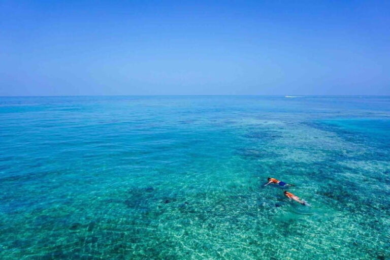 From Tulum: Cenote Riviera Maya & Snorkel Excursion - Transportation and Group Size