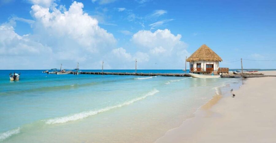 From Tulum: Holbox Island Full-Day Trip with Lunch - The Value of This Tour