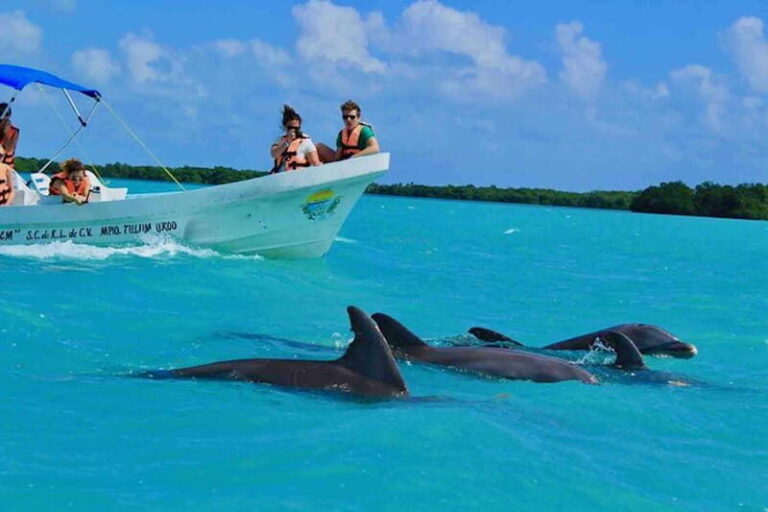 From Tulum: Sian Kaan Day Tour - What Travelers Say
