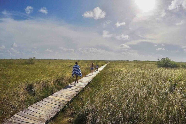 From Tulum: Sian KaAn Muyil Lagoon Tour - Practical Tips for the Tour