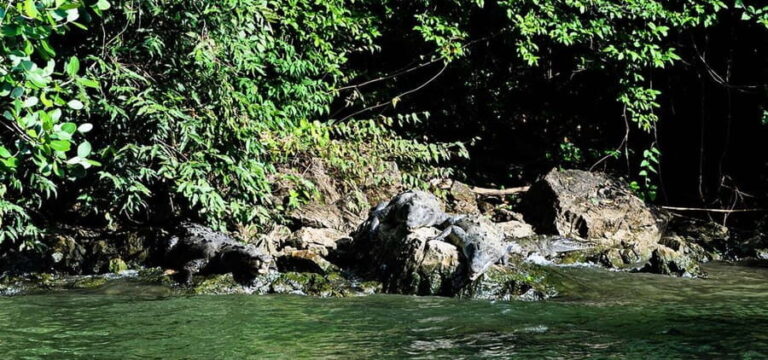 From Tuxtla:4 dias, Chiapas,Naturaleza,Cultura yMagia Guiado - Exploring Chiapas in Depth: What This Tour Offers