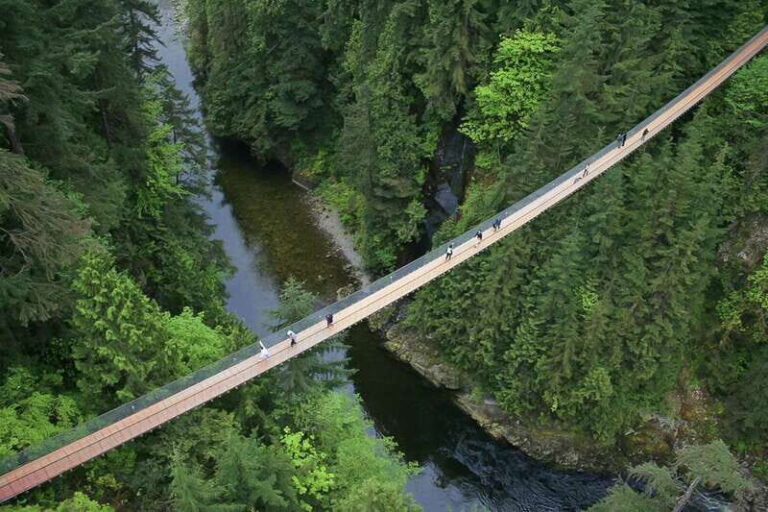 From Vancouver: Capilano Suspension Bridge & Grouse Mountain - How the Experience Works