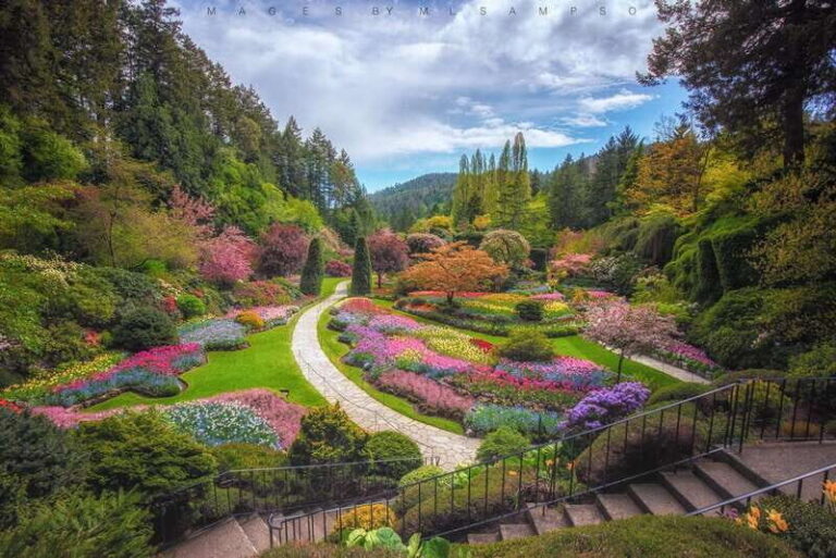 From Vancouver: Victoria City and Butchart Gardens Tour - The Value for Your Buck