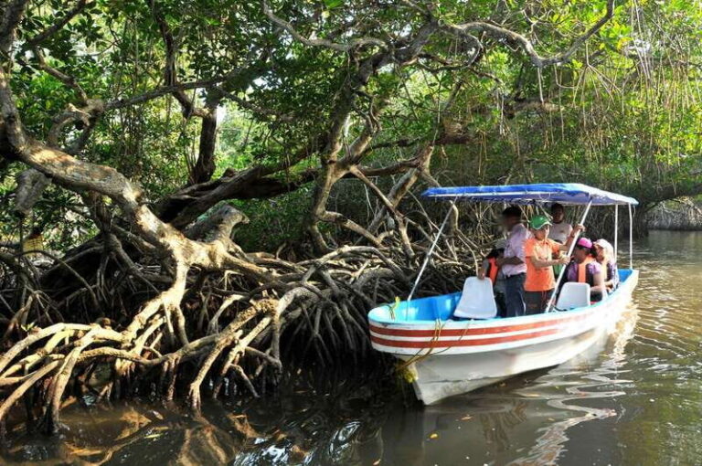 From Veracruz: Nature & Seafood Boat Tour to Madinga - Why This Tour Works