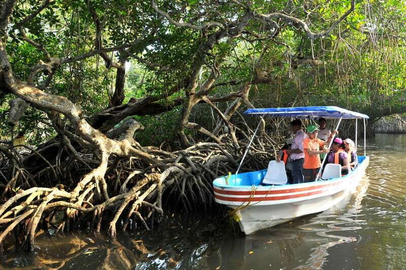 From Veracruz: Nature & Seafood Boat Tour to Madinga - Why This Tour Works