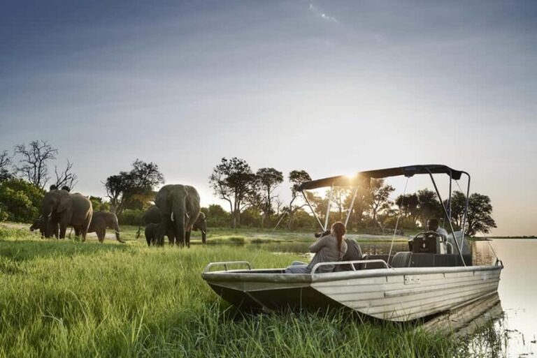 From Victoria Falls to Chobe National Park, Safari Adventure - In-Depth Look at the Itinerary