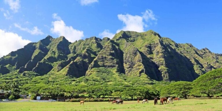 From Waikiki: Circle Island Tour - Breaking Down the Itinerary