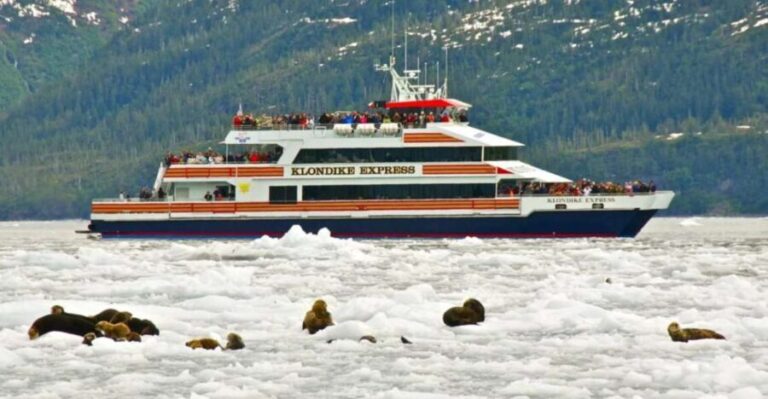 From Whittier/Anchorage: Prince William Sound Glacier Cruise - Close Encounters with Glaciers