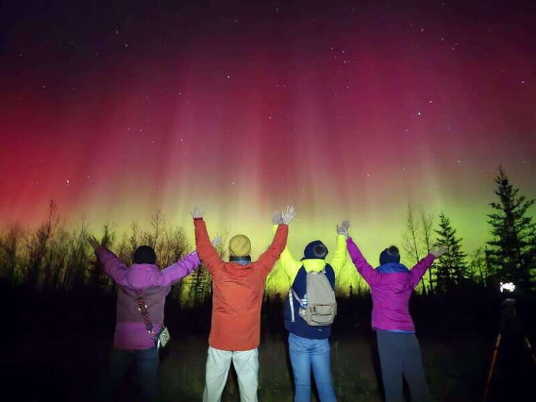 From Yellowknife: Aurora Borealis Tour with Cozy Cabin Base - An In-Depth Look at the Aurora Borealis Tour