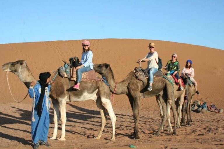 From Zagora: 2-Day Desert Tour to Erg Chegaga - The Experience in Detail