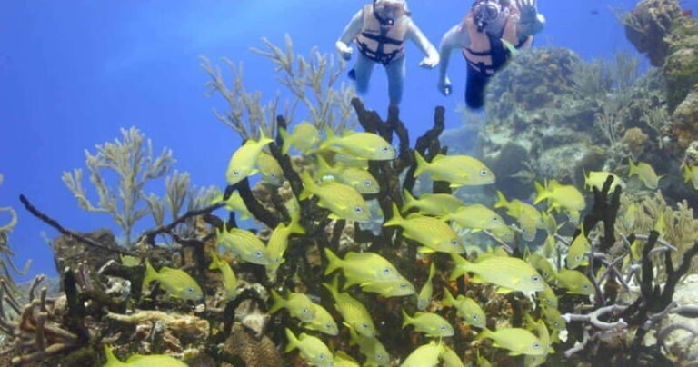 FromCancun: Puerto Morelos: Bike & Zip Line Tour - The Thrill of Zip Lining