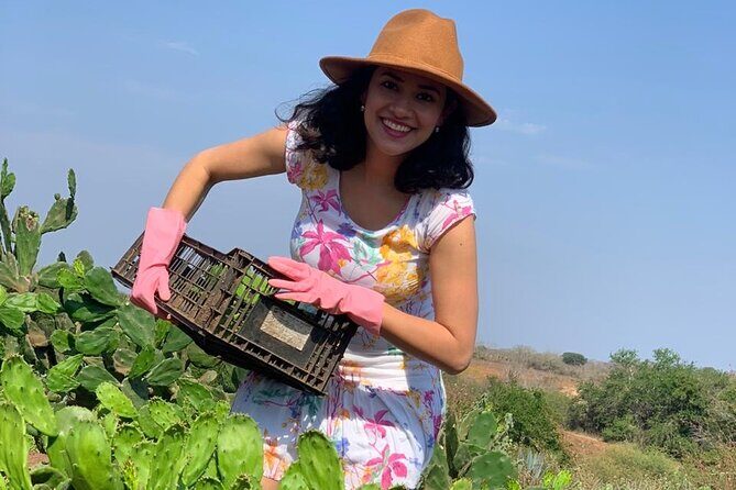 Fruit Garden and Mezcal Tasting Tour with Lunch Included - Why This Tour Offers Good Value