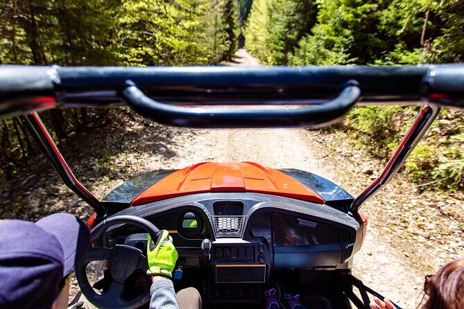 Full-Day 4-Seater Can-Am Commander Max UTV Rental - What to Expect on the Trails