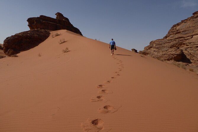 Full-Day 8 Hour Jeep Tour into Wadi Rum Protected Area with Stay - Exploring Wadi Rum: A World of Natural Wonders