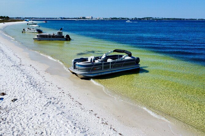 Full Day 90HP Pontoon Rental to Shell Island - The Experience: What You Can Expect