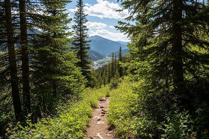 Full Day Adventure in the Heart of the San Juan Mountains - The Value of This Tour