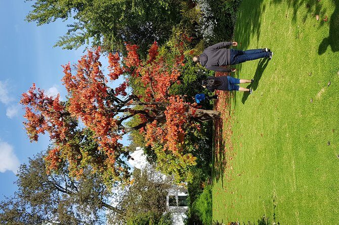 Full Day Afrivista Wine Tours from Stellenbosch - What Could Be Improved