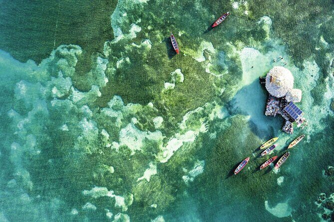Full Day Appleton Rum YS Falls & Pelican Bar Group Tour
