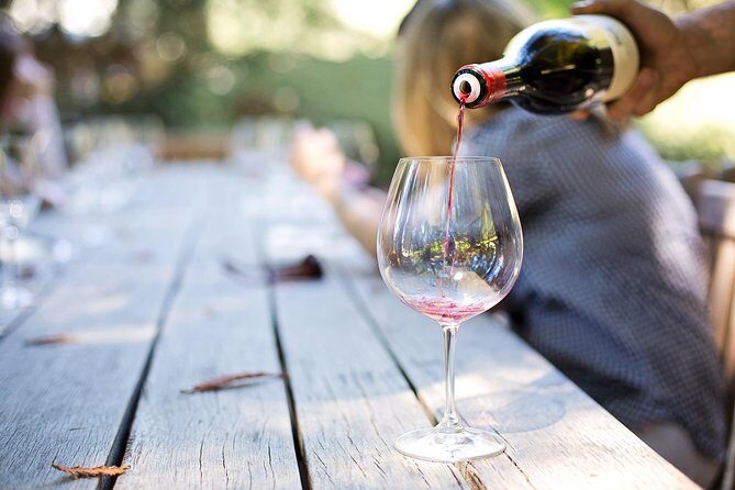 Full-Day Best of the Cape, Peninsula, Cape Point and Stellenbosch Tour - What the Reviews Say