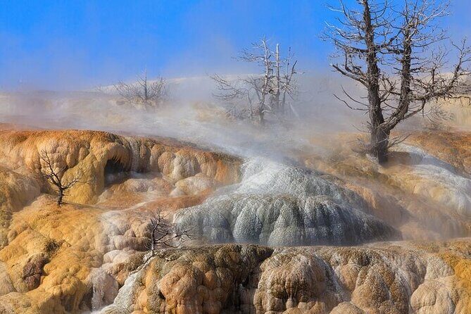 Full Day Best Of Yellowstone National Park Tour From Big Sky - An In-Depth Look at the Yellowstone Tour Experience
