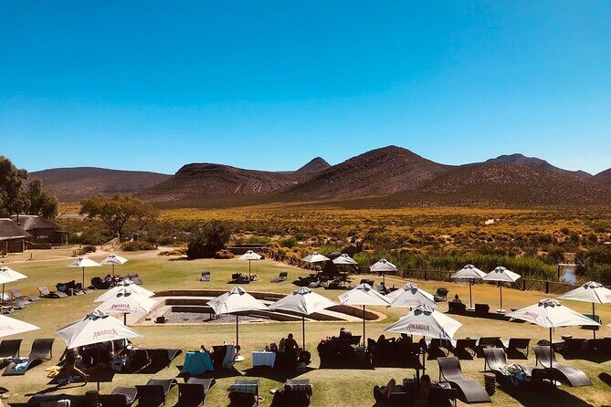 Full Day BIG 5 Private Tour of the Aquila Game and Wine testing - An In-Depth Look at the Tour