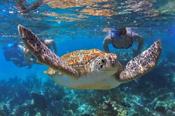 Full Day Boat Tour with Open Bar and Lunch in Riviera Maya - The Itinerary Breakdown
