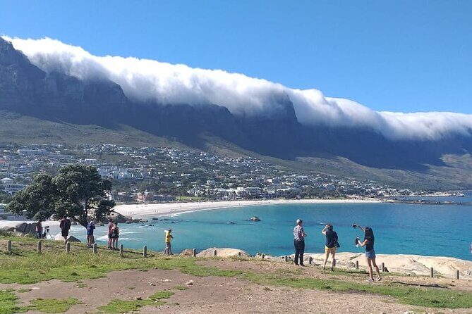 FULL Day Cape of Good Hope and Boulders Penguin Colony - Who Should Consider This Tour?