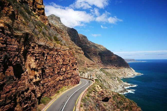 Full-Day Cape Peninsula Tour from Cape Town - Analyzing Value and Practicality